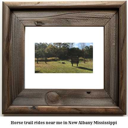 horse trail rides near me in New Albany, Mississippi